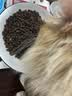京东京造猫粮绝育体重控制全价低卡猫粮成猫维持健康体态2kg 实拍图