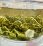 春上早茉莉花茶  2026新茶特级飘雪浓香型毛尖茶叶四川花茶送礼礼盒250g 实拍图