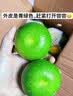 土八鲜江西赣南寻乌蜜橘 新鲜水果无籽柑橘子当季青皮甜蜜桔子生鲜 净重4.5斤推荐装（果径50mm+） 实拍图