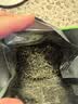 七春2026绿茶信阳毛尖新茶河南特产小罐装冷泡茶品鉴茶叶100g 实拍图