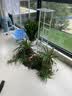 蜗家铁艺花架客厅落地式花盆架室内外多层植物摆放架阳台绿萝置物架 实拍图