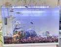 森森鱼缸过滤器三合一内置小型水族箱过滤系统增氧泵XQP-1000F 15W 实拍图