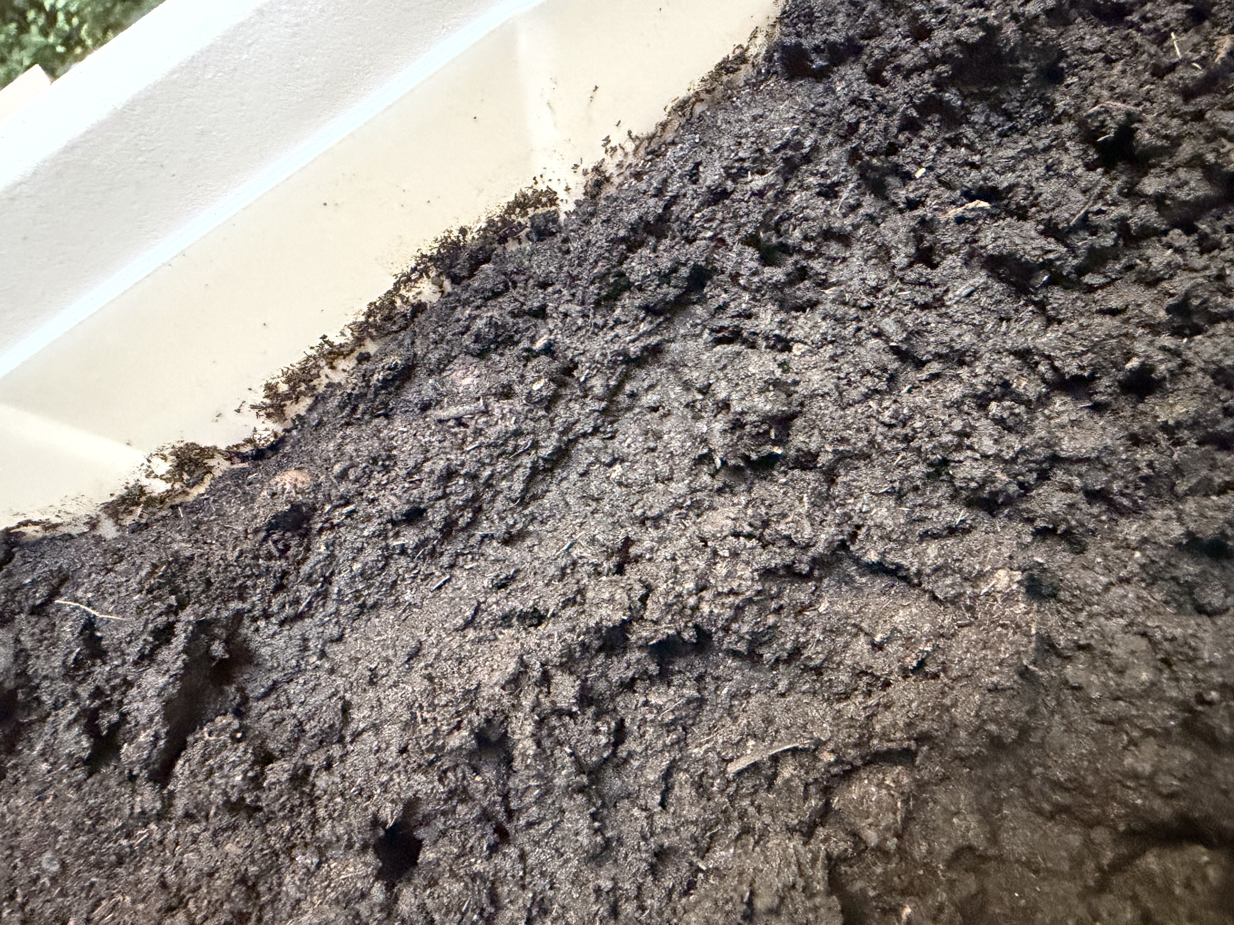 漫生活发酵羊粪约10斤土壤改良基质伴侣有机肥原料蔬菜绿植花卉果树盆栽 实拍图