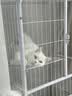 宠幸豆腐猫砂细砂快速结团除臭可溶可冲厕所猫沙猫咪用品低尘 原味豆腐猫砂2.5kg*6 实拍图
