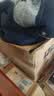 爱宝适宝宝面包裤女童纯棉三角短裤儿童内裤训练裤4条装冰激凌90码T291 实拍图