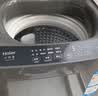 海尔（Haier）波轮洗衣机全自动 8KG小型家用洗脱一体机 宿舍出租房单脱水 以旧换新一级能效 家电换新补贴Z10D0 8KG销冠丨超净洗 波轮 实拍图