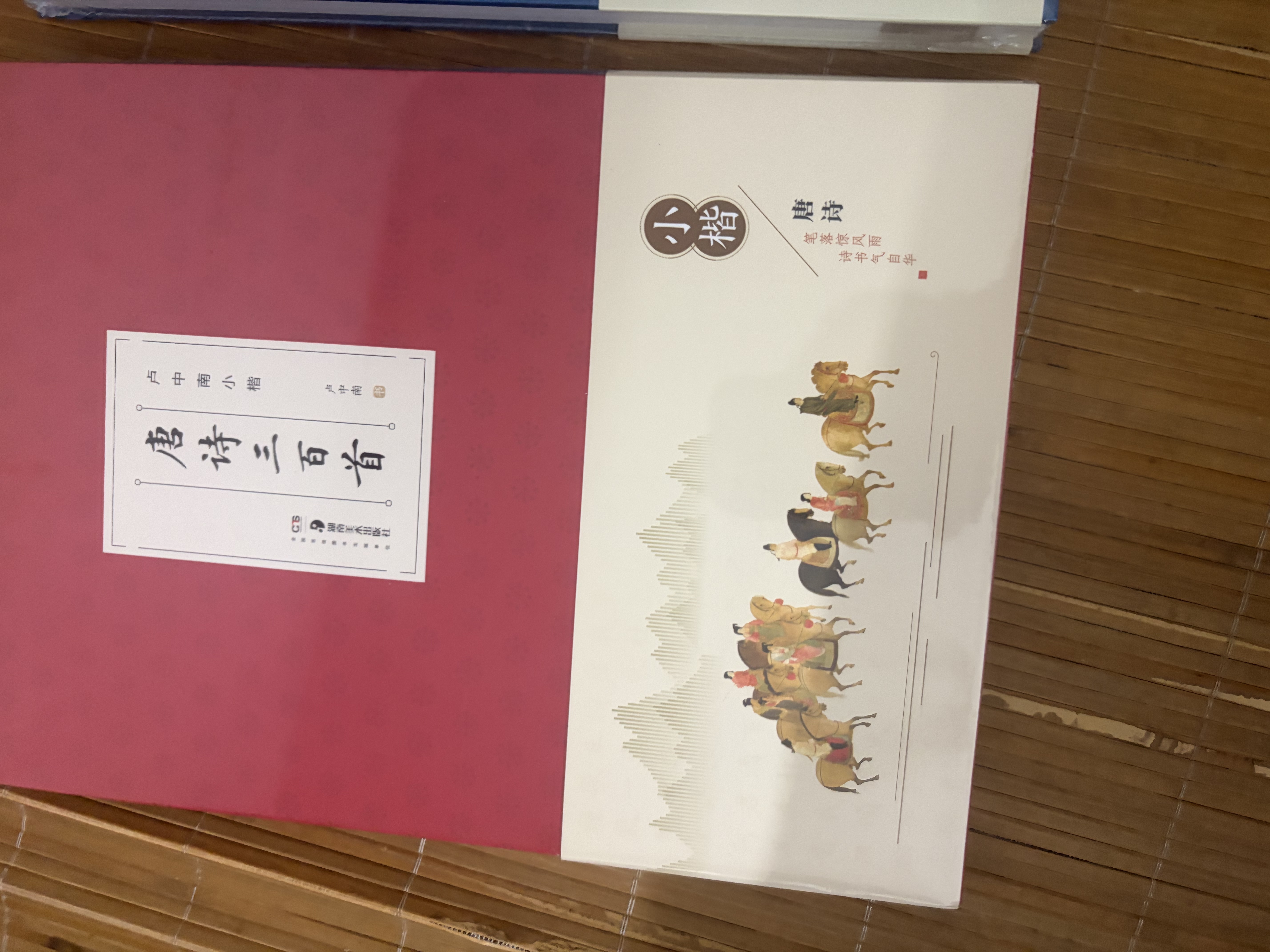 华夏万卷毛笔字帖 卢中南小楷字帖唐诗三百首+宋词三百首(2本套) 成人楷书字帖簪花小楷书法精装正版 实拍图