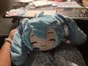 灵动创想Miku初音未来雪未来团团抱枕毛绒娃娃靠枕玩偶fufu公仔七夕礼物 实拍图