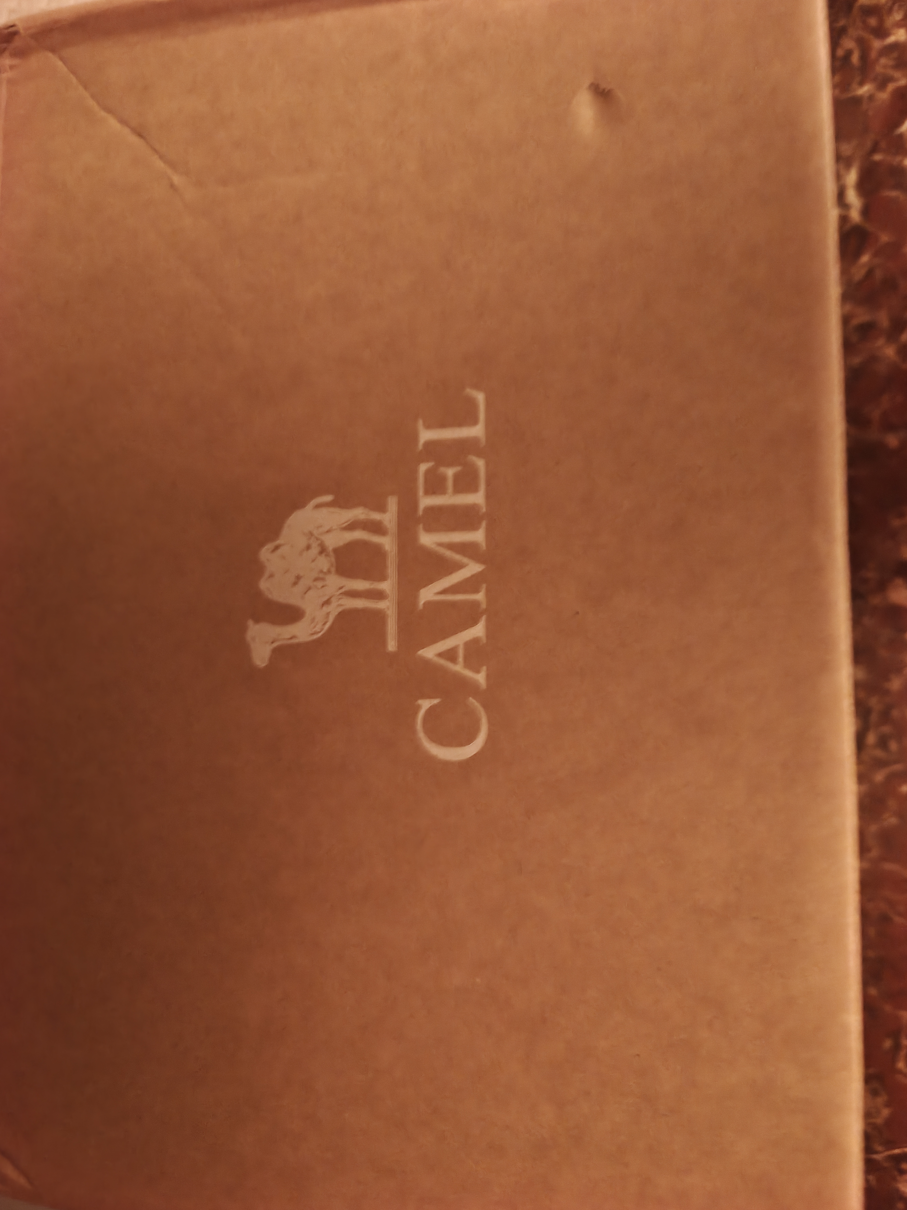 骆驼（CAMEL）登山鞋男户外徒步鞋造极2代秋季新款网面透气运动休闲鞋子男 G16S307001 黑色【四季密网款】 男 45 实拍图