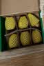 佳沛（zespri）新西兰阳光金奇异果6粒装88-103g猕猴桃水果中秋节礼品送水果礼盒 实拍图