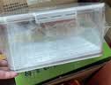 佳帮手冰箱收纳盒保鲜盒食品级密封大容量水果蔬菜鸡蛋泡菜盒7.5L2只装 实拍图
