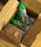 屈臣氏蒸馏水纯净水280ml*35瓶整箱装小瓶装水饮用水会议出行敷脸水疗 实拍图