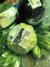 上海青约500g(油菜) 实拍图