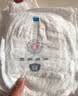 名典熊一体拉拉裤XXXL码48片【17-19kg】婴儿尿不湿超薄干爽尿裤通用 实拍图