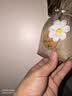 沃舟龙车载香薰栀子花汽车香水车内除异味香氛高级香包车用香袋饰品挂件 桂花【4袋装】除臭散香 实拍图