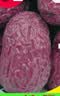 西域华腾新疆若羌灰枣特级一级大枣正宗吊干枣原生态土枣特产新疆红枣灰枣 5斤灰枣【精品特级】新疆直发长3cm左右 实拍图