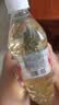 乐品乐茶茶叶茉莉绿茶袋泡茶特级茉莉花茶包饮品自己喝冷泡茶试喝装3g 实拍图