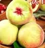 京鲜生大美山东青州蜜桃 净重4.5斤 单果120g+ 脆甜爽口水果源头直发 实拍图