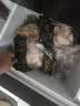 东来顺 内蒙古羔羊原切羊肉片1斤装 火锅食材羊肉卷 清真中华老字号 实拍图