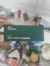 英氏婴幼儿松脆米饼香蕉椰奶味婴儿宝宝零食磨牙饼干易溶哄娃45.6g 实拍图