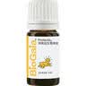 拜奥（BioGaia）益生菌儿童滴剂经典版5ml瑞典进口0-3岁可用的益生菌罗伊氏乳杆菌 实拍图