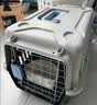 宠物航空箱猫咪空运包猫笼猫包狗狗托运便携车载猫箱子 灰色大号【48*32*30cm】 航空箱 实拍图