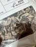十月稻田 东北黑木耳 500g 干木耳 黑龙江东宁特产 肉厚无根 火锅煲汤炒菜 实拍图