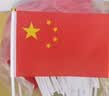 格立特（gelite）手举手持国旗带杆国旗伸缩旗杆红旗杆收缩旗杆户外爬山攀登拍照 2米不锈钢伸缩旗杆1根+4号国旗1面 实拍图