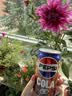 百事可乐日本进口汽水pepsi碳酸饮料生可乐340ml*24罐整箱 实拍图