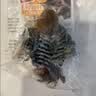 贵为（GiGwi）仿真发声小鸟逗猫玩具小猫咪幼猫自嗨解闷神器逗猫棒 实拍图