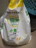 爱菊面粉陕西爱菊中筋小麦面粉特一粉10斤中筋馒头包子面条饺子面条粉 小麦粉中筋20斤 实拍图