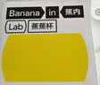 蕉内【刘浩存同款】300A无尺码女士粉底液内衣隐形无痕夏季薄款文胸罩 实拍图