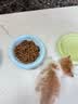 弗列加特猫粮 全价鲜肉天然粮 肠道养护配方 成猫猫粮鸡肉100g 实拍图