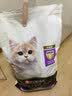 冠能猫粮幼猫猫粮3周-12月龄7kg 全价猫粮 添加牛初乳 增肥发腮 实拍图
