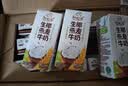 伊利【新鲜日期】谷粒多生椰燕麦牛奶200ml*12盒 中秋礼盒装 实拍图