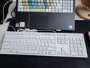戴尔（DELL）KB216键盘有线商务办公键盘笔记本电脑台式机外接配件全尺寸静音键盘USB即插即用防泼溅（白色） 实拍图
