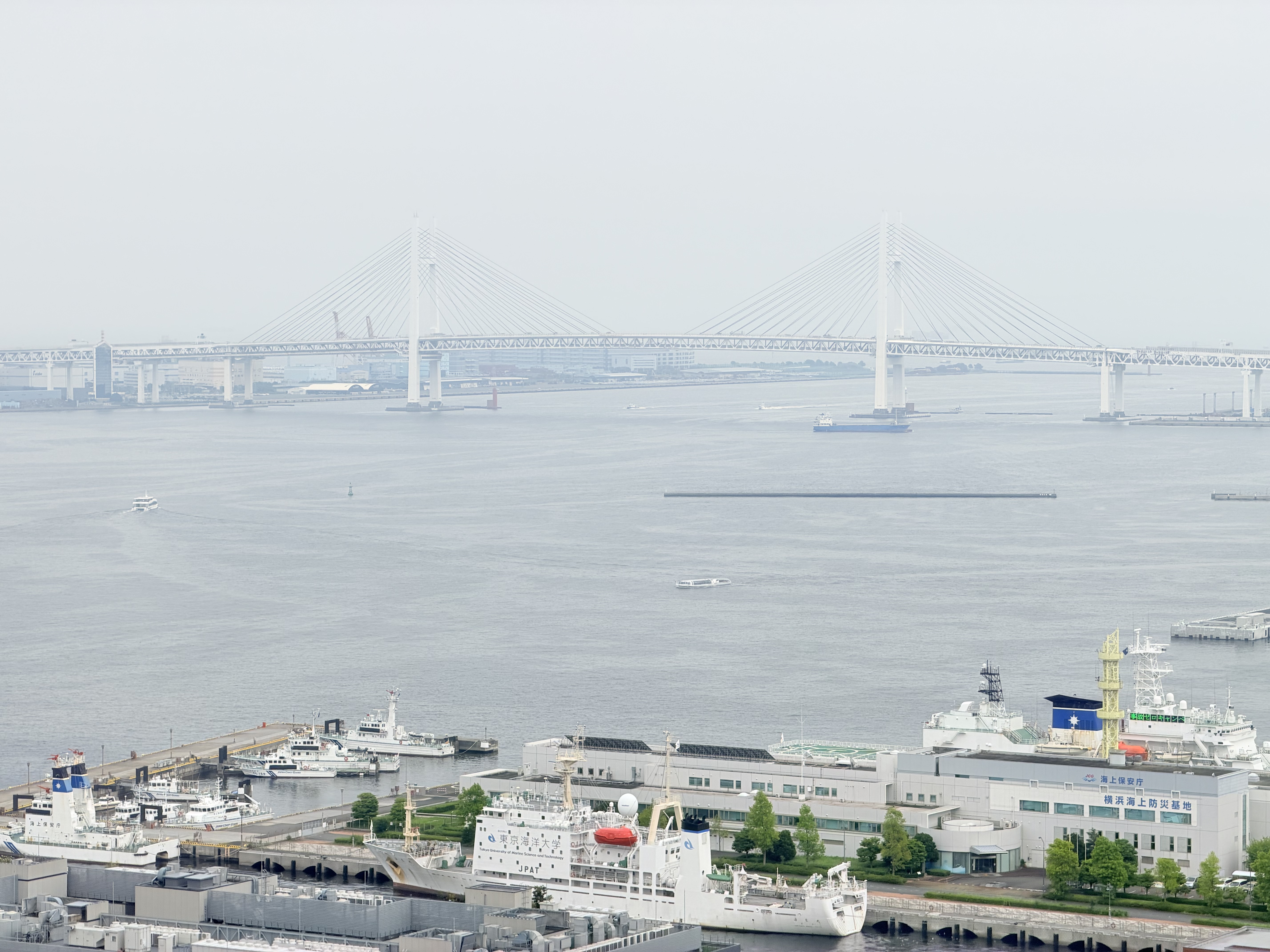 Softbank日本电话卡原生卡5G手机流量上网卡旅游sim卡  15GB总量 实拍图
