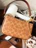 蔻驰（COACH）【品牌直供】女士NOLITA19小号手提单肩麻将包棕CW426礼物次日达 实拍图