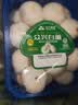 【烧烤季】白蘑菇(口蘑) 230g 实拍图