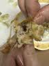 海速达皮皮虾 净重1斤15-22只 中大号满肉熟冻濑尿虾爬子虾婆姑 实拍图