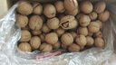 果夫子阿克苏185原味生纸皮核桃薄皮5斤休闲零食坚果送夹子礼盒装 实拍图