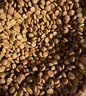 皇家猫粮 挑嘴成猫猫粮 高适口性 EF38 通用粮 12月以上 10KG 实拍图
