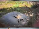 索尼（SONY）黑神话悟空 索尼SONYPS5黑神话光盘徽章版广智版PlayStation国行游戏科学 实拍图