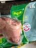 家佳康猪肘子2斤 鲜肉急冻猪前肘蹄膀 带骨去毛 自繁自养 中粮出品猪肉 实拍图