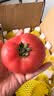 京鲜生山东普罗旺斯番茄净重4.5斤中大果100g+ 沙瓤水果西红柿源头直发 实拍图