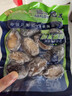 江船长冷冻鲍鱼 净重160g(10-15粒)袋装 火锅食材 海鲜生鲜 实拍图