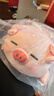 名创优品（MINISO）小猪B-BO翅膀款趴毛绒公仔玩具玩偶抱枕娃娃靠枕生日礼物女 实拍图