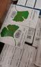 【原研进口】金纳多 银杏叶提取物片 40mg*60片/盒 10盒装 实拍图