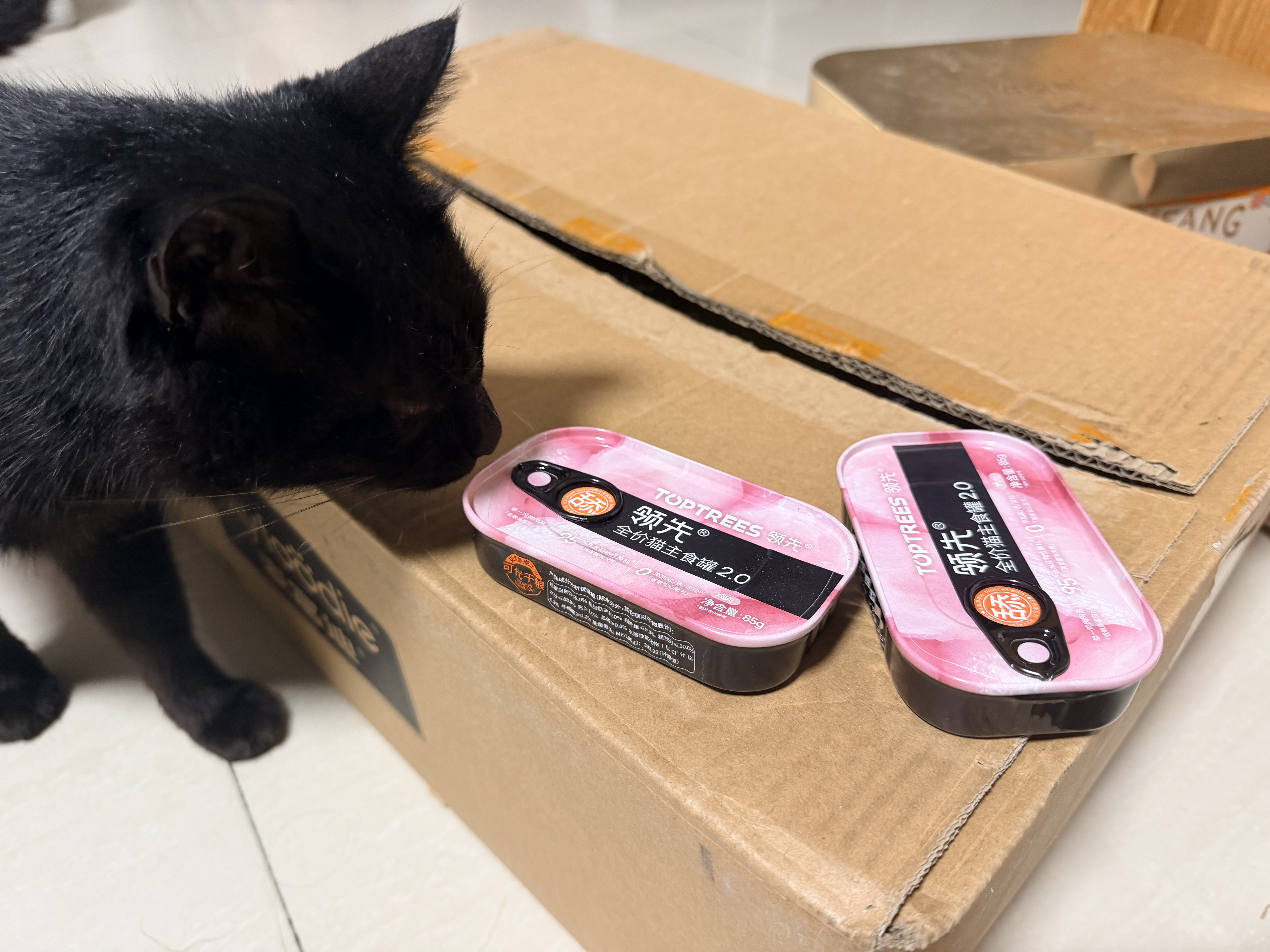 领先成猫尝鲜礼包主食级烘焙猫粮猫条餐盒汤包（新老款随机发货） 实拍图