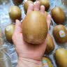 佳沛（zespri）新西兰金奇异果18粒优选果103-124g猕猴桃中秋节礼品送水果礼盒 实拍图